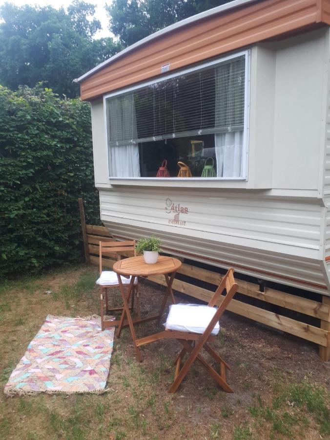 Hotel Caravan In Bosrijk Gebied Zuidlaren Exteriér fotografie